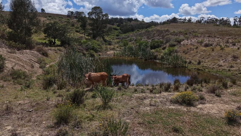 0 Bedroom Property for Sale in Riversdale Western Cape